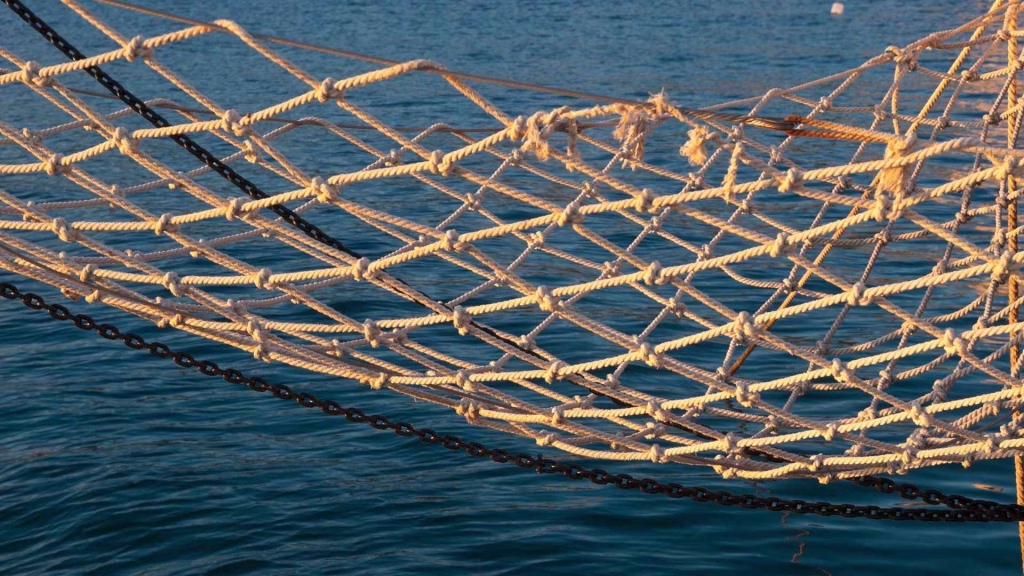 xanax addiction is common for those who take the drug for just 2-4 weeks