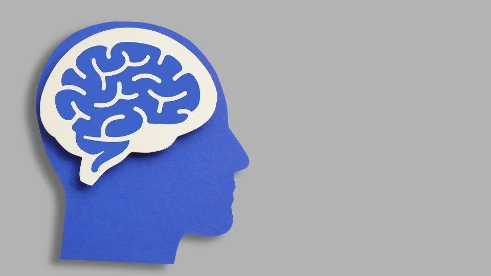 Brain Recovery from Alcohol Timeline results from the brain being deprived of a substance it has become dependent on.