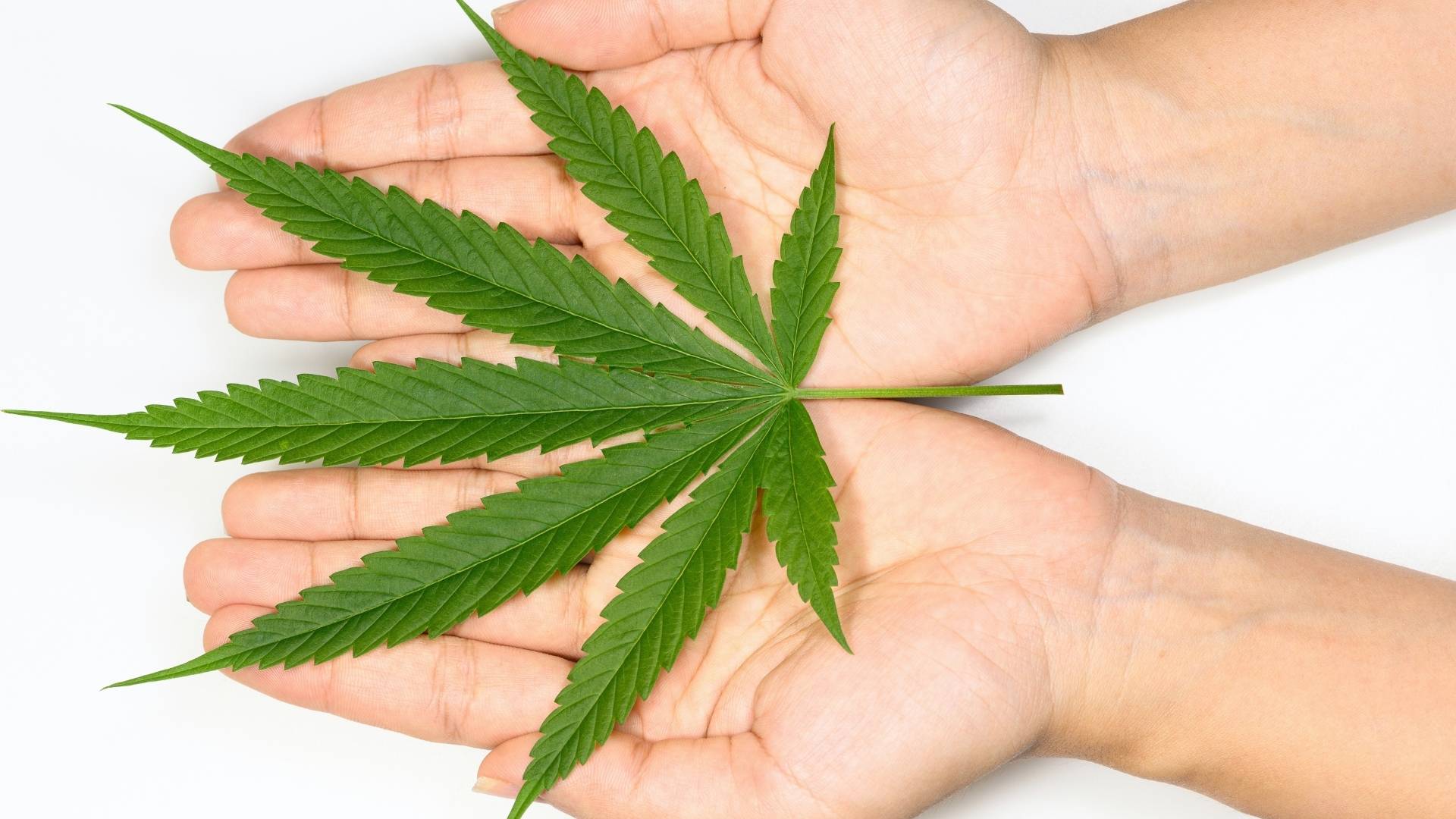 cannabis dependence is a real medical condition that can stop you from quitting weed